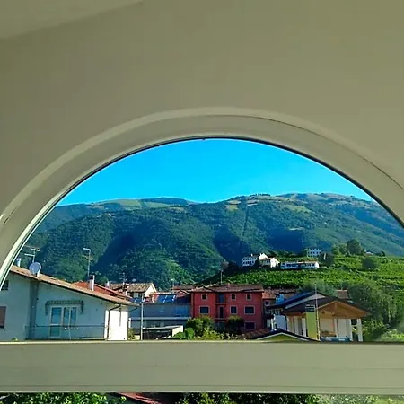 B&B Zanin Di Zanin Mauro-3